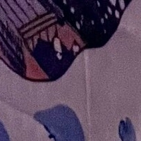 notyourfeedee Nagie